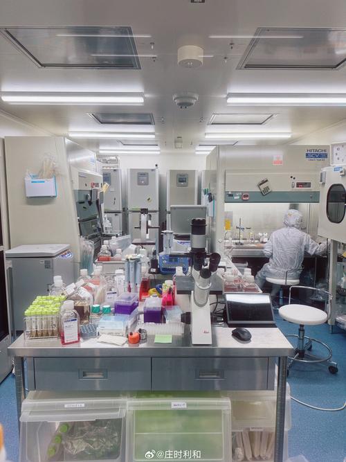 沈阳试管助孕机构增值服务深度解析：从流程到复查的全方位保障体系